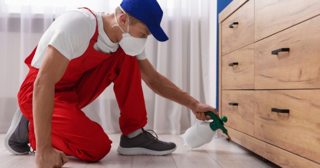 Como Eliminar Mosquitos em Fortaleza: 5 Técnicas capa dedetizacao em Fortaleza