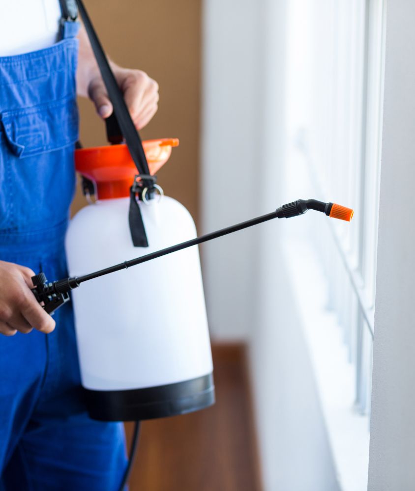 dedetizador em Fortaleza